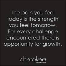 Image result for cherokee proverbs