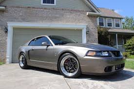 Image result for black cobra with sweet girl