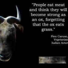 Vegan Quotes on Pinterest | Animal Rights, Peta and Going Vegan via Relatably.com