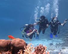 صورة Scuba diving in Hurghada with divers and marine life