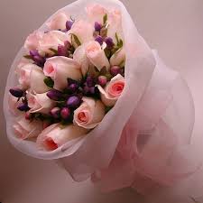 images?q=tbn:ANd9GcQQvwvZNfQwmPTlkMICJEGsEUQ5SeBLEALnCPOjZnsgs0AYjYEL