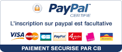 Logo Paypal