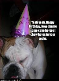 diselfcore: funny happy birthday quotes via Relatably.com