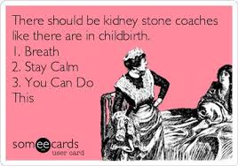 Kidney Stone Coaches @Jill Meyers Meyers Meyers Van Hoven ! Yes ... via Relatably.com