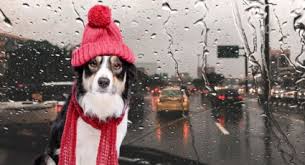 A partir de este día volverán las lluvias y el frío a Monterrey