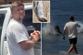 Hawaii local hailed a hero for beating entitled tourist caught on viral video hurling rock at beloved seal ‘Lani’