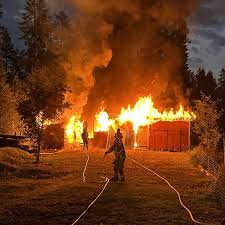 SVT Nyheter - News update