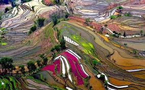 Image result for pictures gallery for amazing places of the world