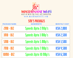 صورة WE 20 MB internet plan