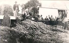 Resultado de imagen para imagenes de pueblos tucumanos