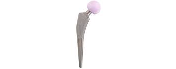 Implantcast - Quadril - EcoFit® hip stem - Ortospine