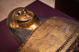 Ancient sarcophagus collection at nubian museum in aswan upper egypt | Premium PH๏τo