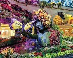 Image of Bellagio Conservatory & Botanical Garden Las Vegas