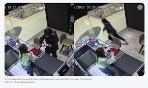 뉴시스 - News update