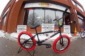 Image result for casino bikes