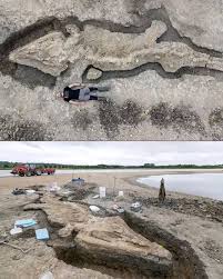 THE HUGE 180 MILLION YEARS old SEA DRAGON Fossils in the UK 😯😯😯 Archaeologists have discovered a giant skeleton in the Rutland Water nature reserve in England. Experts have identified this as