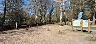 Moors Valley Country Park Restricts Visitors After Large Woodland Fire
