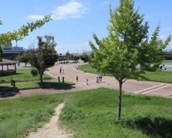 大芝交通ランド 広場 ピクニックの画像