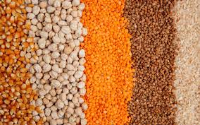 Angola: Governo Investe 14,6 M€ na Compra de Fertilizantes e Sementes Para Camponeses
