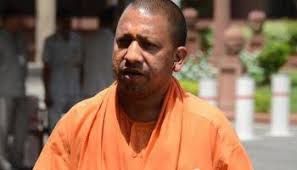 Image result for yogi