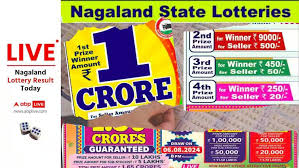 LIVE | Nagaland Lottery Sambad Friday (27.06.2025) Result: Dear SEAGULL Evening 8 PM Draw Declared – 1st Prize Ticket No. 34D 55228