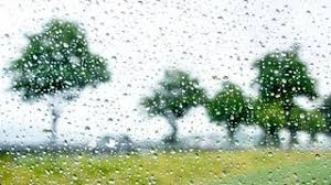 Unwetterwarnung für Baden-Württemberg: Starkregen, Gewitter und sinkende Temperaturen