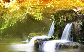 Image result for Amazing HD Nature Wallpapers For Desktop