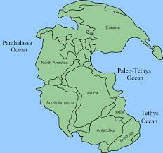 pangea ile ilgili görsel sonucu