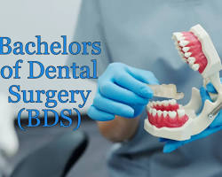 Image of BDS (Bachelor of Dental Surgery)