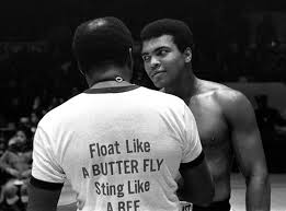 Image result for muhammad ali