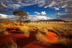 Image result for namibia landscape