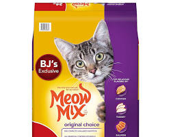 Image of Dry cat food