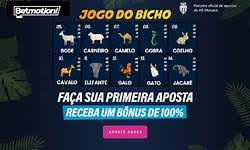 jogo bicho sergipe