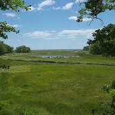 Rachel Carson National Wildlife Refuge