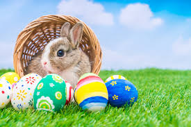 Résultat de recherche d'images pour "easter bunny"