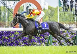 競馬ラボ - News update