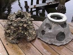 Image result for artificial reef in Halifax harbour