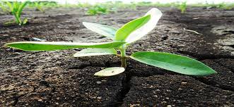 תוצאת תמונה עבור חיבור אל הנשמה