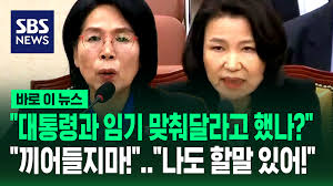 SBS 뉴스 - News update