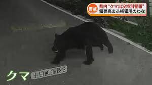 日テレNEWS NNN - News update