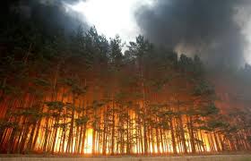 Image result for images of natural disasters