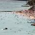 Hawaii logs 13th straight month of record visitor arrivals