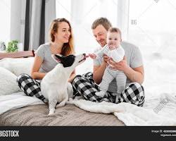 family with a baby and a petの画像