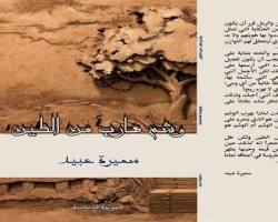 صورة التشفير كعامل في الفلسفة الرمزية