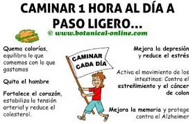 Resultado de imagen para ejercicios de caminata