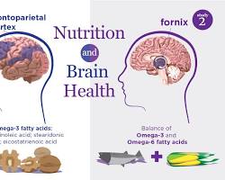 Omega-3 fatty acids and brain health
