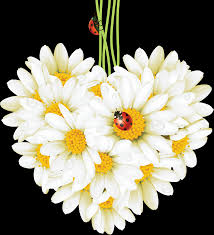 images?q=tbn:ANd9GcQTJjFLUIg38IF62t6W4Qm