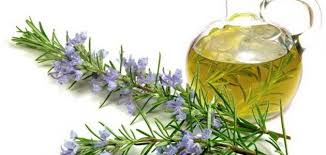 Image result for ‫الاس مع اكليل الجبل‬‎