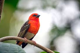 Virus-Verdacht am Zoo Leipzig! Besucher bekommen das zu spüren