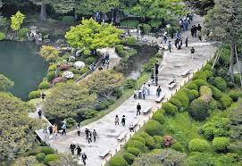 名園 新緑のＧＷ 兼六園 朝から観光客